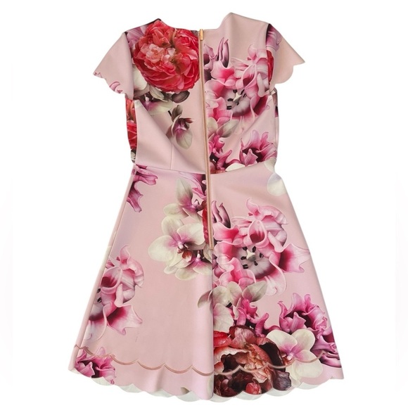 Ted Baker London Seena Splendour Mini Short Floral Pink Dress, Size 2 (US 6) - Picture 4 of 12